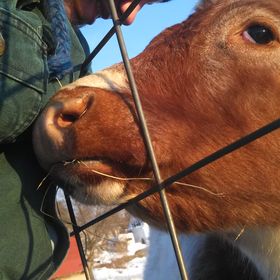 Profile Picture of Sam Harrington (@samharrington12) on Pinterest