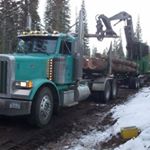 Profile Picture of Tami Adamson (@treetrucker_tam) on Instagram