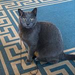 Profile Picture of Lucy Tanner (@loosh.t) on Instagram