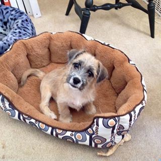 Profile Picture of Lynn WalbyMcClellan (@Lynn-Walby-McClellan) on Facebook