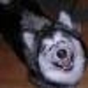 Profile Picture of Laura Hesse (@410931244) on Myspace