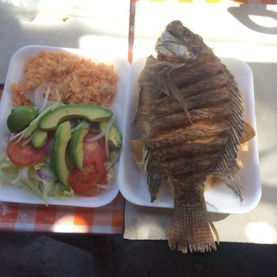 Profile Picture of Jose Isidro Rojas Salas (@JoseisidroRoja5) on Twitter