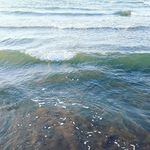 Profile Picture of hedie bahmani (@hediebahmani) on Instagram