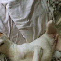 Profile Picture of Jonathan Hart (@jonathan-hart-33) on Quora