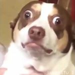 Profile Picture of seth murphy (@mr.sethy2) on Instagram