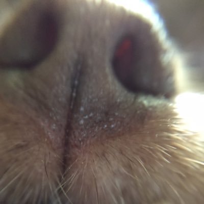 Profile Picture of Heidi Wilhelm (@heidiwilhelm252) on Twitter