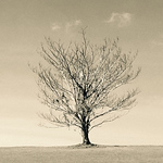 Profile Picture of Josh Lim (@josh_lim) on Flickr