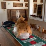 Profile Picture of Janice Bailey (@jdbaily) on Instagram