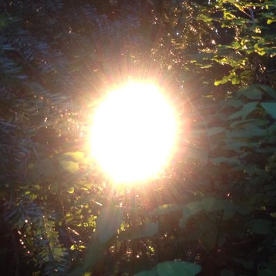 Profile Picture of ...... (@JackyLiu) on Twitter