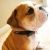 Profile Picture of Nathan Stevens (@mls120680) on Pinterest