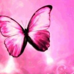 Profile Picture of Jessie Barrett (@jessie.barrett.779) on Facebook