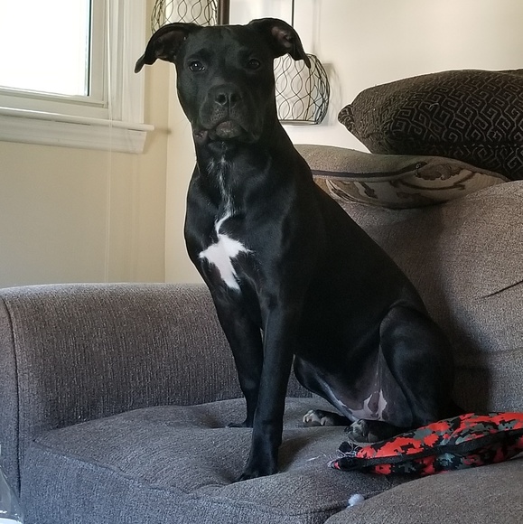 Profile Picture of Lisa Deconti (@lcdeconti21) on Poshmark