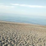 Profile Picture of Michele.singh.0088 (@michele.singh.0088) on Instagram