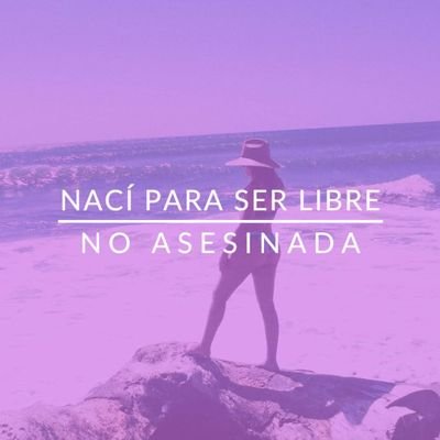 Bichipamyal - Twitter Profile Picture of Bichipamyal (@PamChaves2) on Twitter