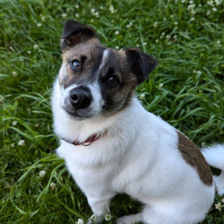 Kathy Fenton - Tiktok Profile Picture of Kathy Fenton (@@kathyfenton) on Tiktok