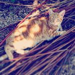 Profile Picture of Joshua Seagraves (@josh.s.04) on Instagram