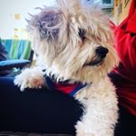 Profile Picture of George Bailey Noack (@georgebaileynoack) on Instagram