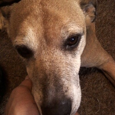 Profile Picture of Jonathan Hulett (@hulettje18) on Twitter