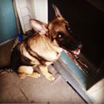 Profile Picture of Tama (@tama._.mitchell) on Instagram