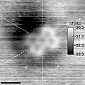 Profile Picture of Moleculeon Wikipedia