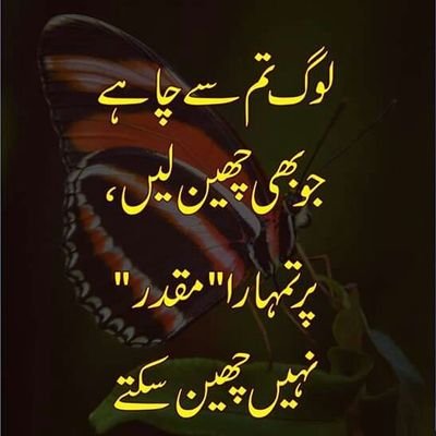 Profile Picture of Ibn E Asghar (@mohammad9988778) on Twitter
