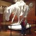 Profile Picture of Ann Eichenberger (@ann.eichenberger.33) on Facebook