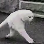 Profile Picture of ginodire (@yoquitokdkd) on Instagram