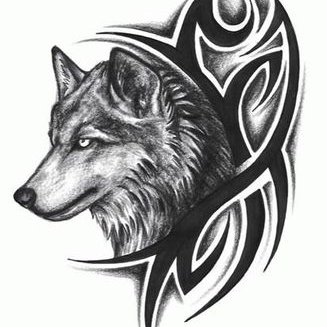 Profile Picture of Matt Witte (@nightwolf1111) on Twitter