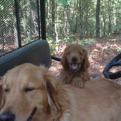 Profile Picture of Lisa Mcphail (@EmilyE_07) on Twitter