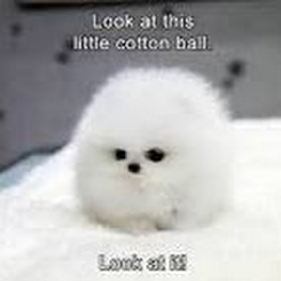 Profile Picture of Kaelyn Ormeroid (@kaelynormeroid) on Poshmark