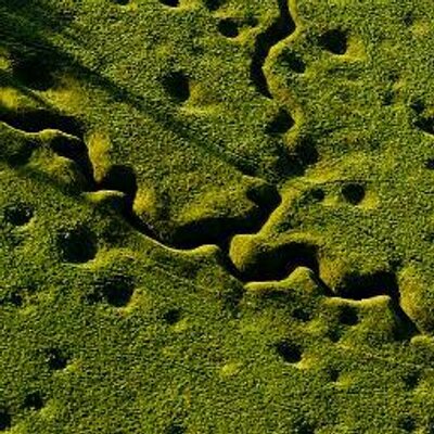 Profile Picture of FieldsofBattle (@Mike_Sheil) on Twitter