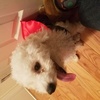 Profile Picture of John Samano (@@johnsamano) on Tiktok