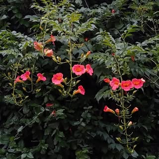 Profile Picture of keumki (@keum_ki) on Instagram