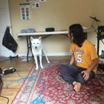 Profile Picture of Luke Yu (@lukee_yu) on Instagram