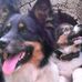 Profile Picture of Wade Pedersen (@wade.pedersen.10) on Facebook