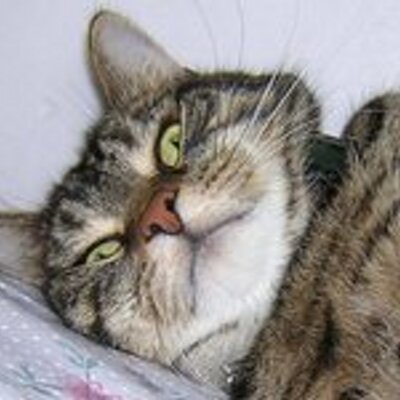 Profile Picture of Mandy Stevenson (@mandy2stevenson) on Twitter