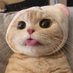 Profile Picture of ก็แค่นักศึกษาจิตวิทยาคนนึง (@RayFear26) on Twitter