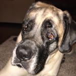 Profile Picture of Brock Benoit (@brock.benoit) on Instagram