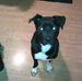 Profile Picture of Travis Erickson (@travis.erickson.10485) on Facebook