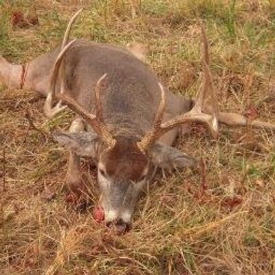 Profile Picture of Byron Van Winkle (@byronvanwinkle) on Twitter