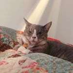 Profile Picture of Mike Lavin (@mike.levin.518) on Instagram