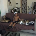 Profile Picture of Nicholas Clemente (@clemente.nicholas) on Instagram
