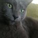 Profile Picture of Brandie Moore (@brandie.moore.3304) on Facebook