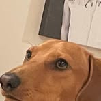 Profile Picture of Joe Eger (@joe.eger.420993) on Facebook