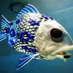 Profile Picture of Mark Laurin (@laurinmark) on Instagram