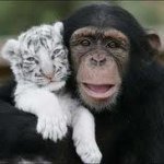 Profile Picture of bobbysweatt (@bobbysweatt) on Instagram