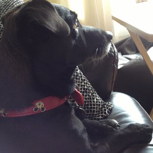 Profile Picture of Leah Bell (@leah.bell.311) on Myspace