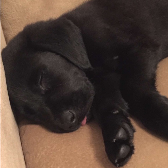 Profile Picture of Matthew Karban (@matthewkarban) on Poshmark