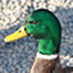 Profile Picture of Steve Salisbury (@kc2pxp) on Flickr