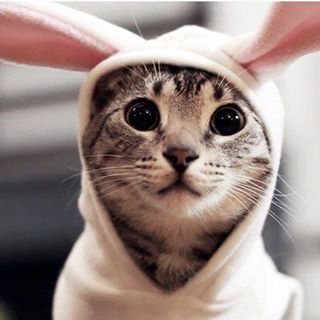 Profile Picture of Randalf Gregorie (@randalf.gregorie) on Facebook